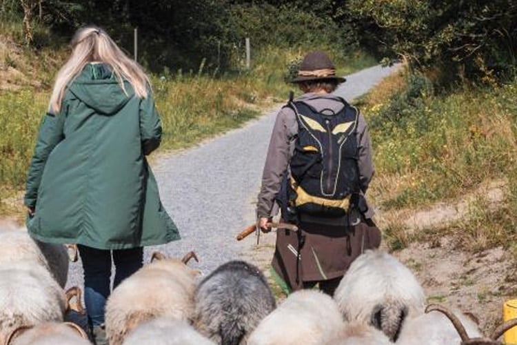 wandelen-met-de-herder Wandelen met de Herder