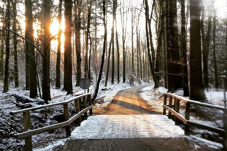 Blog_wandelen_redenen2 winter-pieterpad