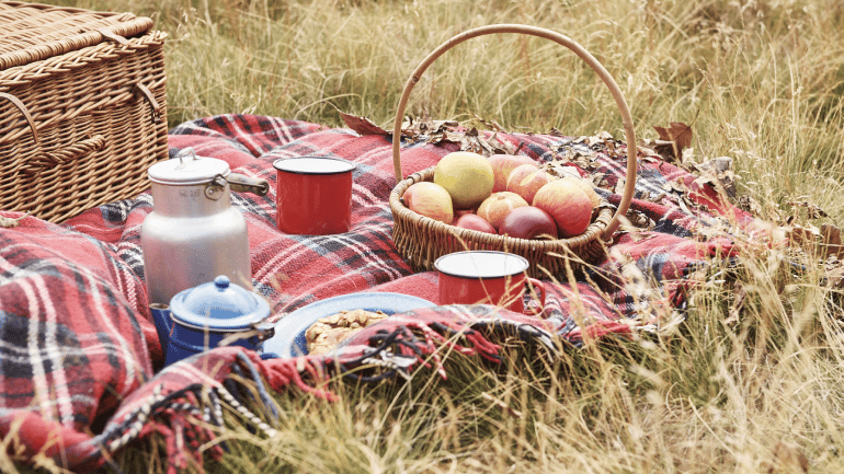 Picknicken lente activiteiten 2023