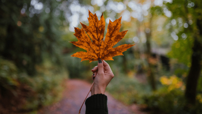 Herfst