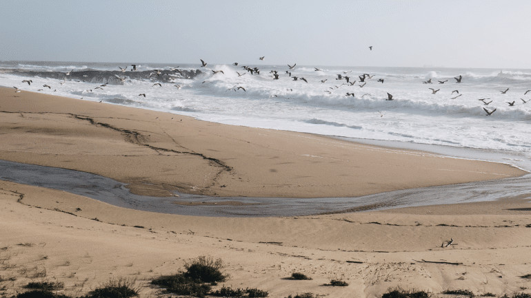 Waddeneilanden