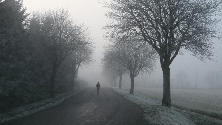 decemberwandelingen