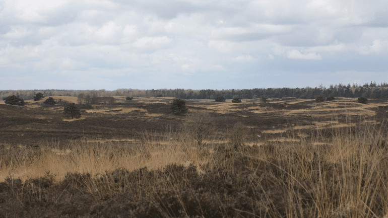 De veluwe