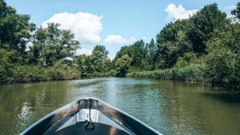 Varen in de Biesbosch