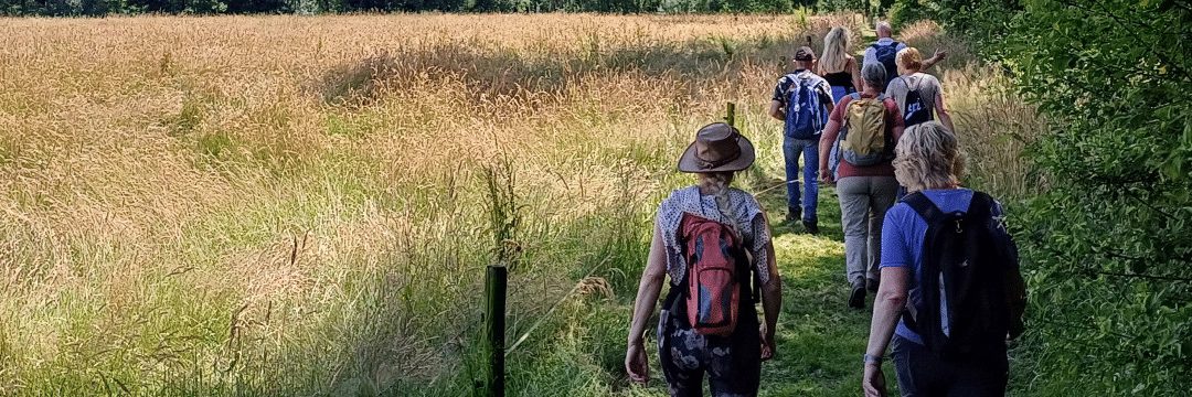 8x Pluktuinen in Nederland