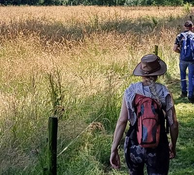 8x Pluktuinen in Nederland