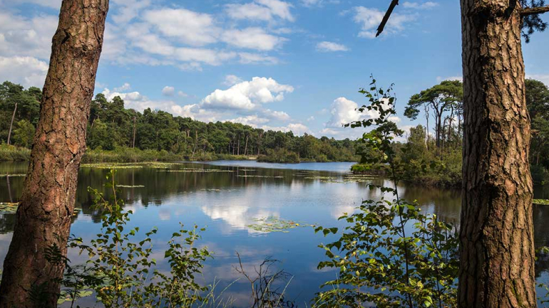 oisterwijkse bossen en vennen