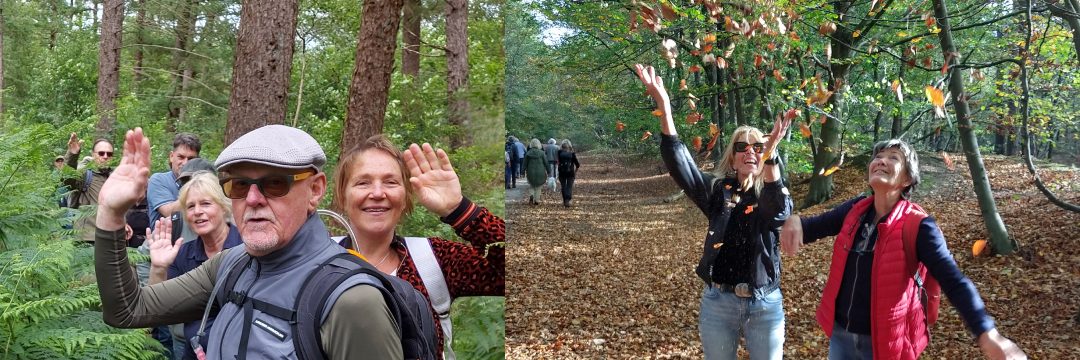 herfstwandelroutes herfstkleuren herfstwandeling