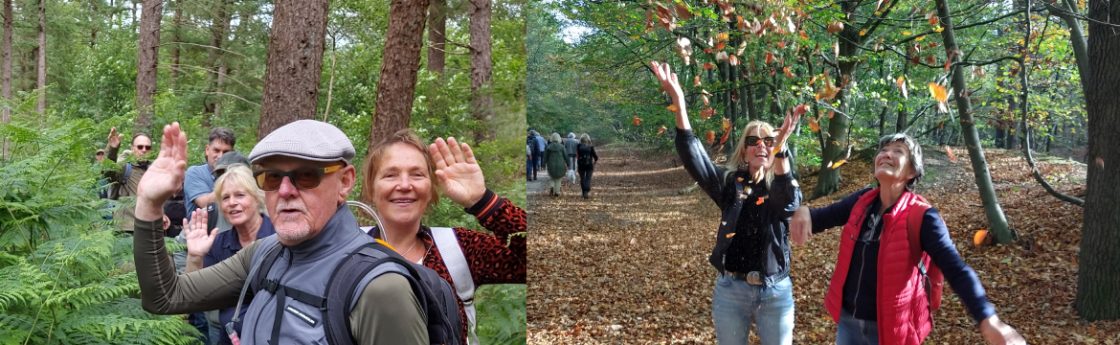 herfstwandelroutes herfstkleuren herfstwandeling