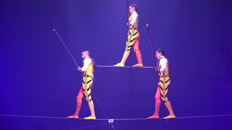 wintercircus haarlem