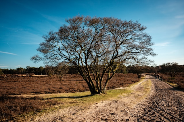 Wandelen Hilversum_Klup