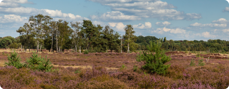 Zuiderzeeroute